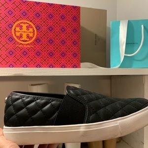 steve madden sneakers